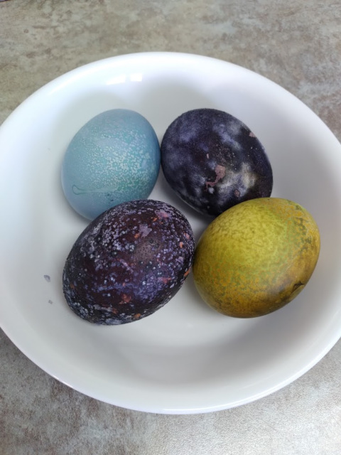 Four colored eggs in a bowl,