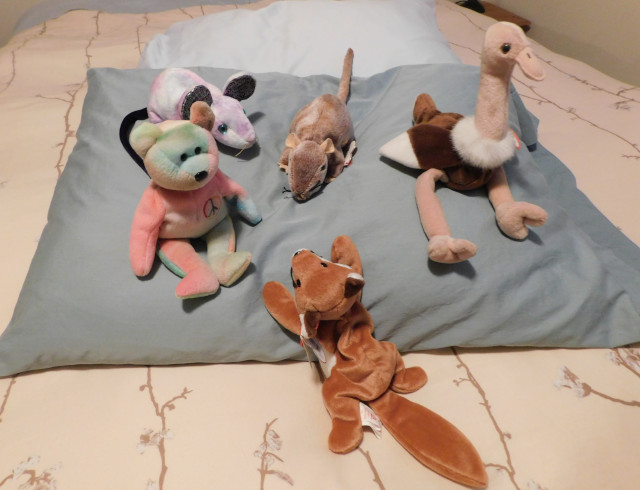 A pillow on a bed serves as a stage for five Beanie Babies animals, each a different species. Three are grouped closer together, with a fourth facing them and a fifth slightly separate and looking outward.