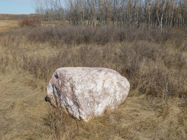 a large stone in dry grass against a backdrop of bare trees - it's autumn in the prairies.