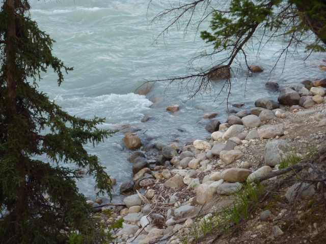 Photo of the Athabasca River, focus on the rocky edge of the river. 