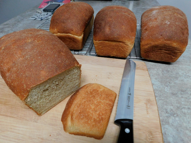 Photo of four loaves of bread cooling on racks on the kitchen counter, with one loaf already on a cutting board and one slice cut. 